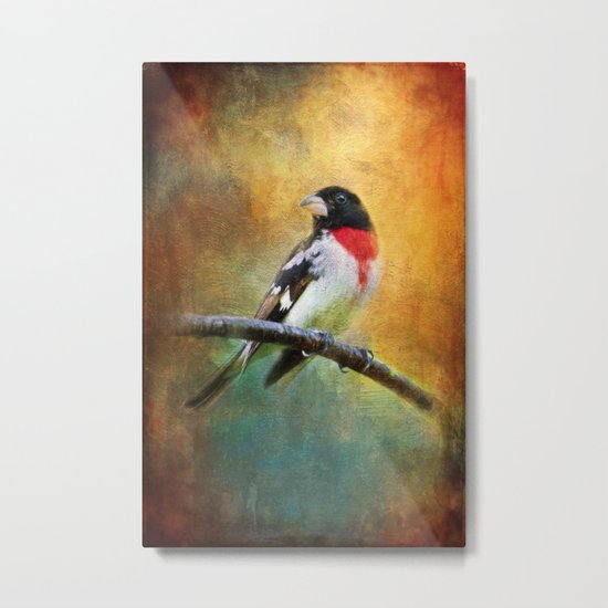 Rose-breasted Grosbeak ~ Ginkelmier Inspired Metal Print