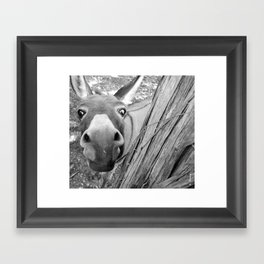 Donkey II Framed Art Print