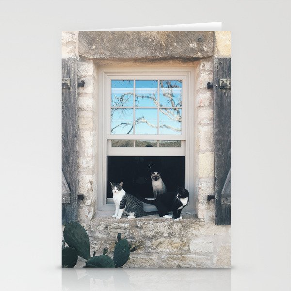 Cat, Cat, and Cat Stationery Cards