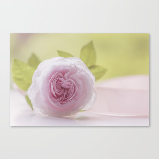 Roses in LOVE I - Rose Flower Floral pink Canvas Print