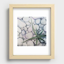 Aloe on the Rocks Recessed Framed Print