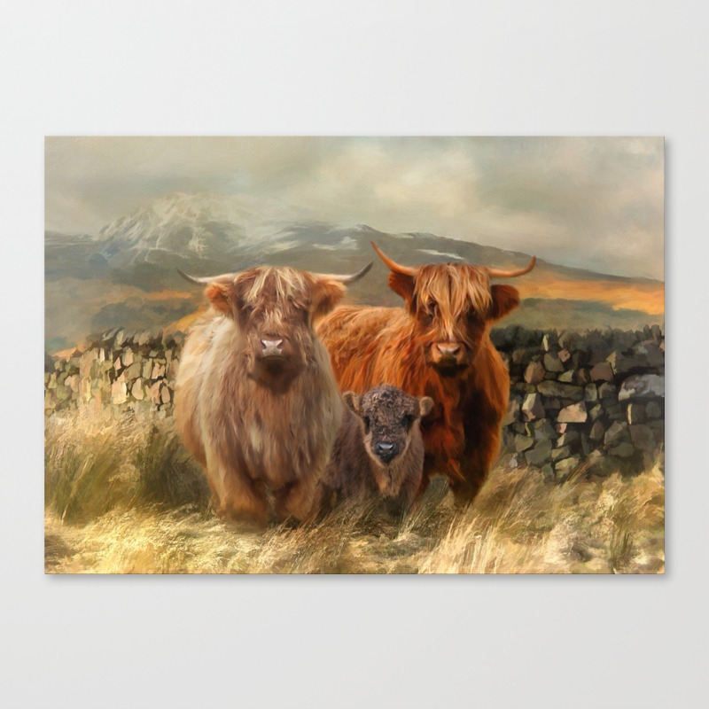 Hairy Coo S Canvas Print By Trudisimmonds Society6