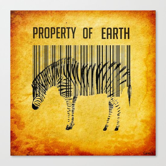 The encoded zebra Canvas Print