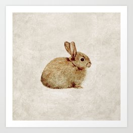 Vintage Rabbit Study in Watercolour Art Print