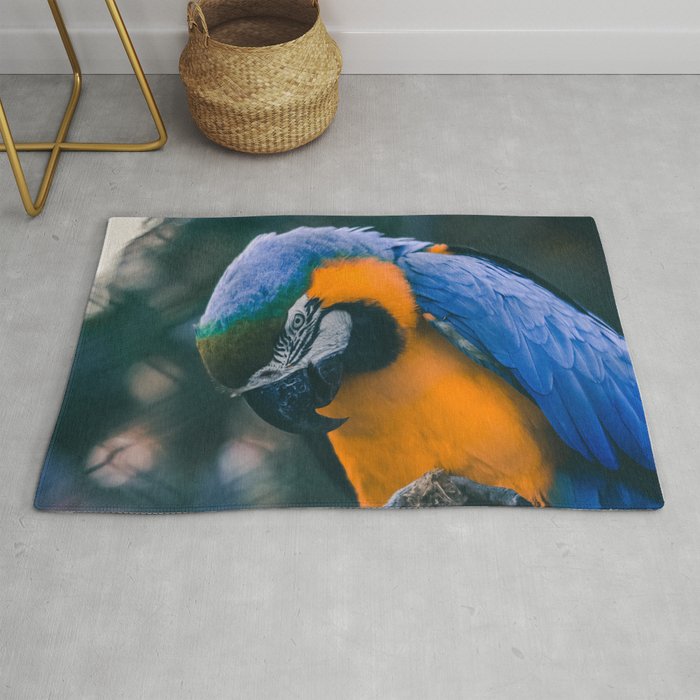 Brazil Photography - Blue And Yellow Macaw Parrot Rug