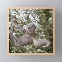 Sloth, A Real Tree Hugger Framed Mini Art Print