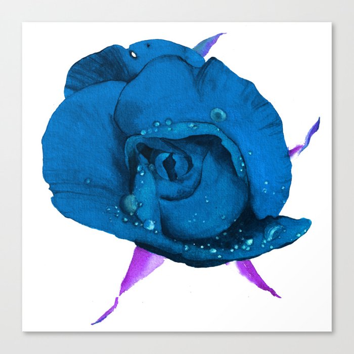 Deep blue rose Canvas Print