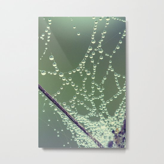 cool morning Metal Print