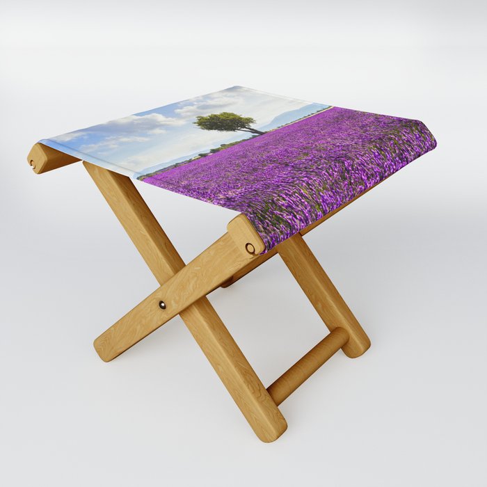 Lavender flower field and lonely tree. Provence, France Folding Stool