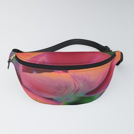 Colorful Tulips Fanny Pack