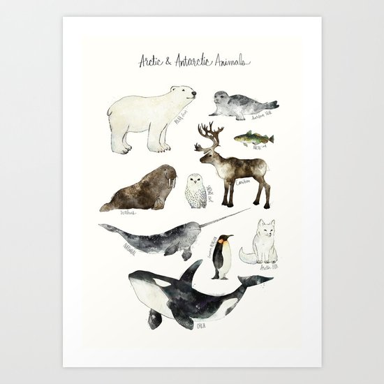 Arctic & Antarctic Animals Art Print by Amy Hamilton | Society6