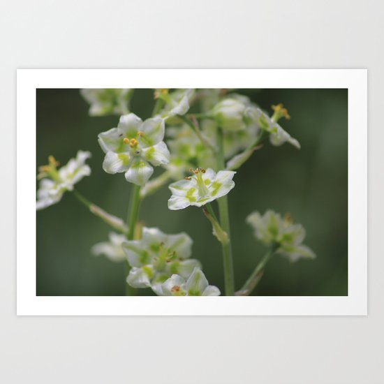 out camping Art Print