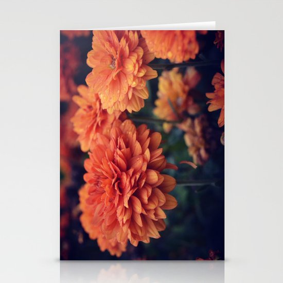Sweet Orange Stationery Cards