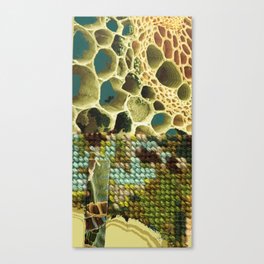 Tapestry Canvas Print