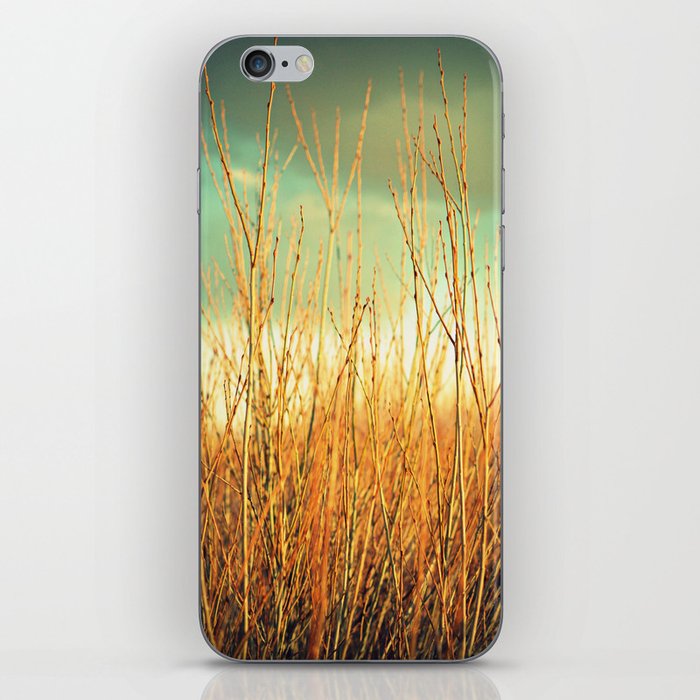 Wind in the Willows iPhone Skin