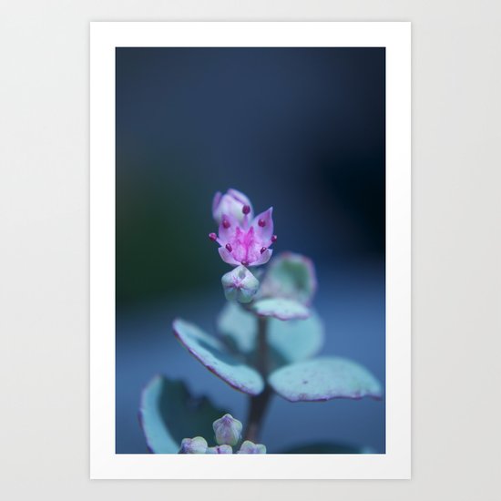 Trial Art Print