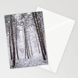 Snowy forest of pine trees in Iowa Stationery Cards
