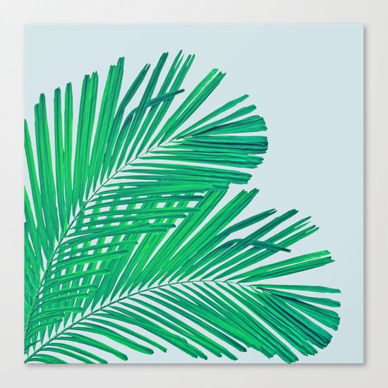 Palm leaf Canvas Print