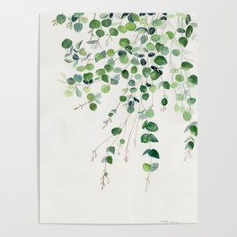 Eucalyptus Watercolor Poster