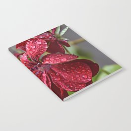 Rainy Blooming Flower Notebook