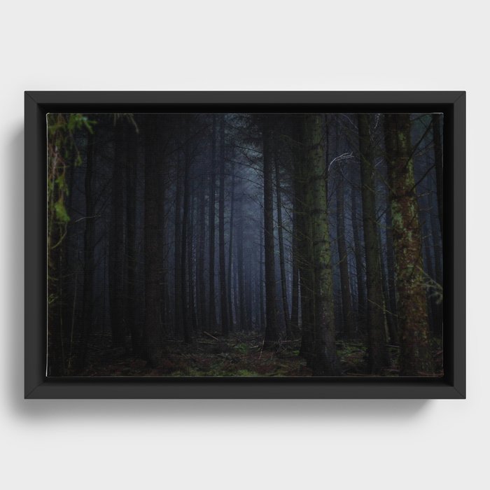 Framed Canvas