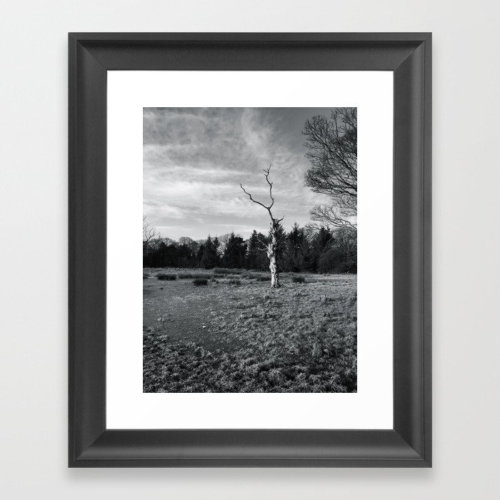 The Haunted Tree Framed Art Print by A Fresh Perspective by Colin ...