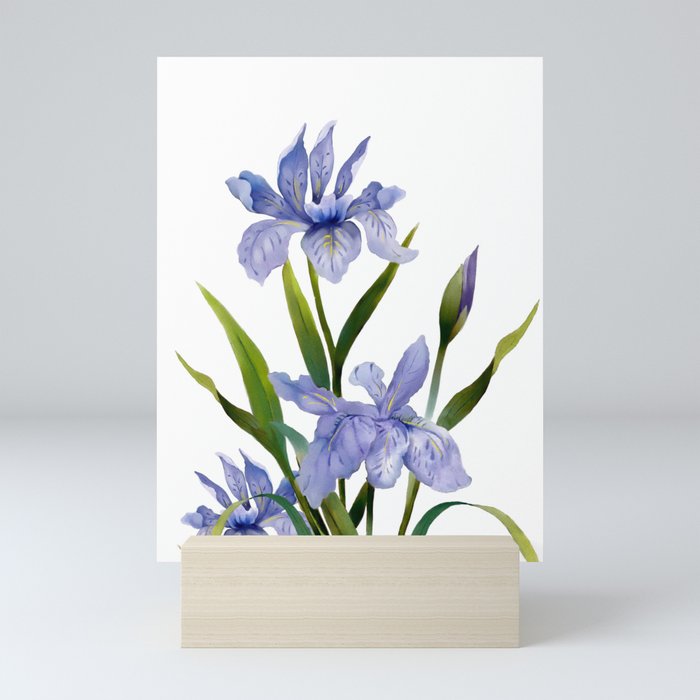 Purple Iris Mini Art Print