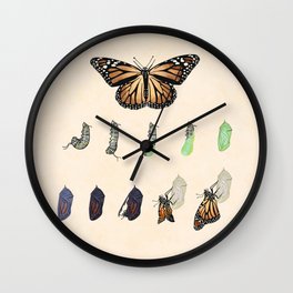 Metamorphosis Wall Clock | Science, Ink Pen, Monarch, Chrysalis, Graphicdesign, Animal, Organic, Acrylic, Nature, Cocoon 
