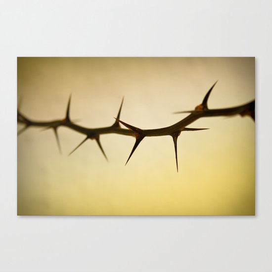 The Sharp Point of Winter Canvas Print