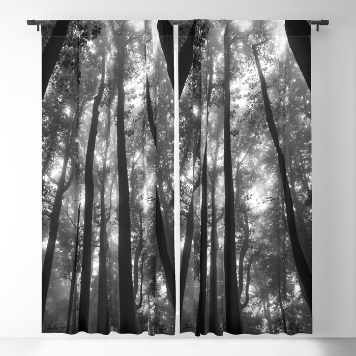 Blackout Curtain