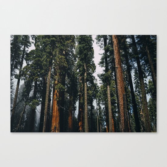 Woods #fog Canvas Print