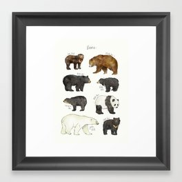 Bears Framed Art Print
