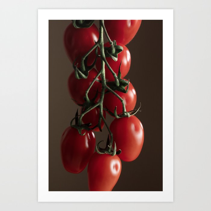 Cherry Tomatoes on Vine Art Print
