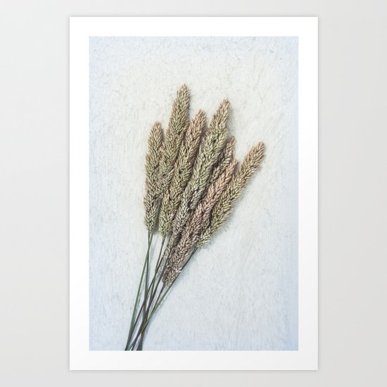 Summer Grass III Art Print