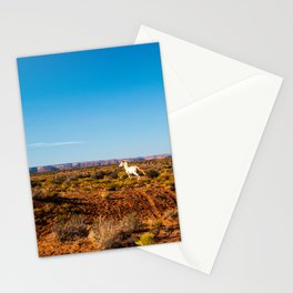 Wild Horses in the Desert Stationery Cards