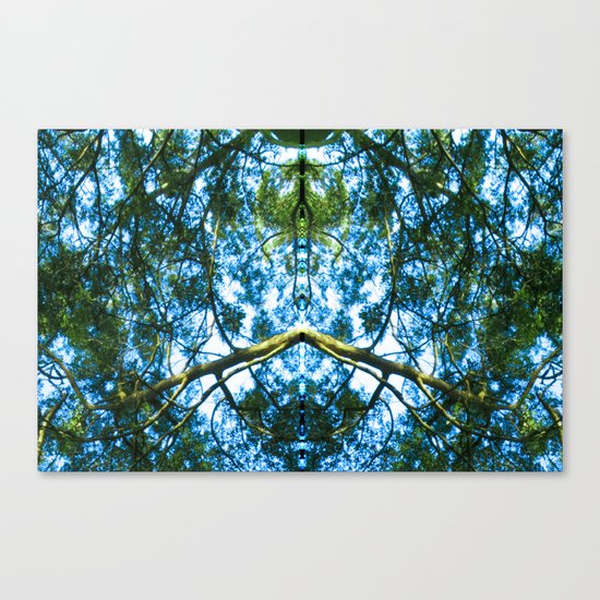 Transformation Canvas Print