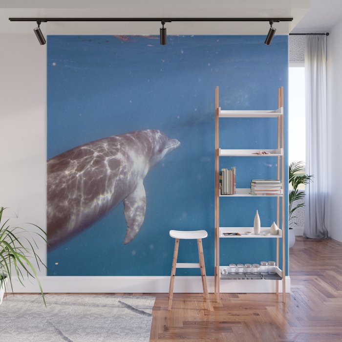 Watercolor Cetacean, Bottlenose Dolphin 05, St John, USVI, Hi There! Wall  Mural by Carlson Imagery Nature and Landscape Pho Society6