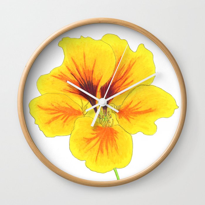Indian Cress Flower Illustration Wall Clock By Matiland Society6