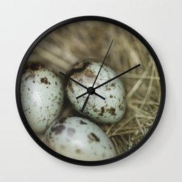 Robins eggs Wall Clock