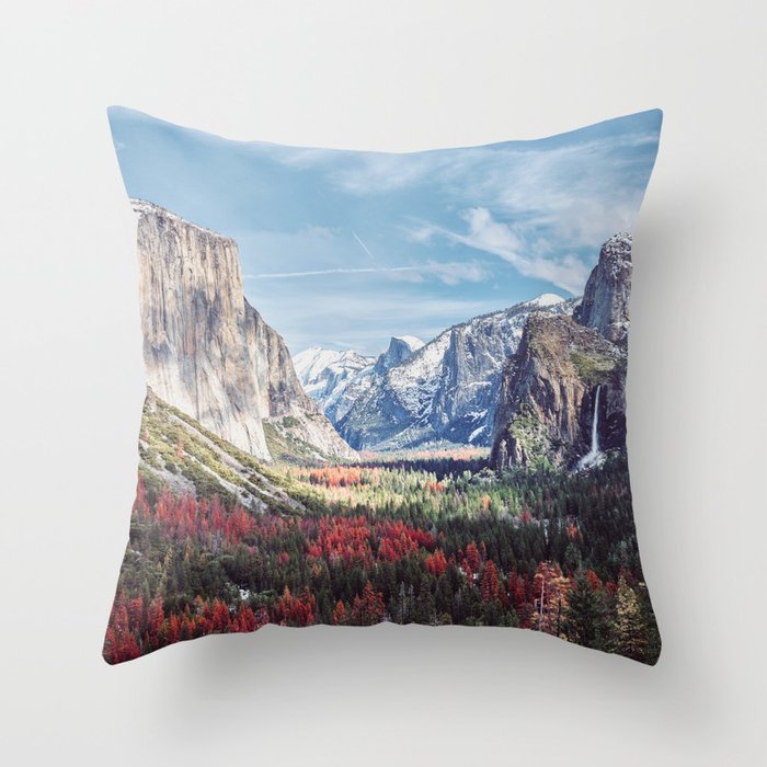Throw Pillow