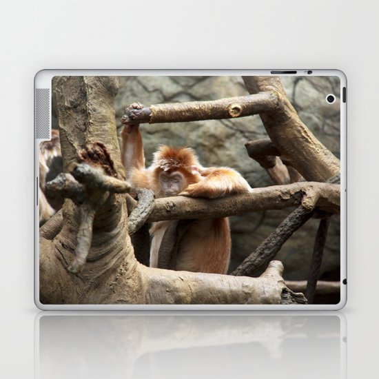 Monkey Laptop & iPad Skin