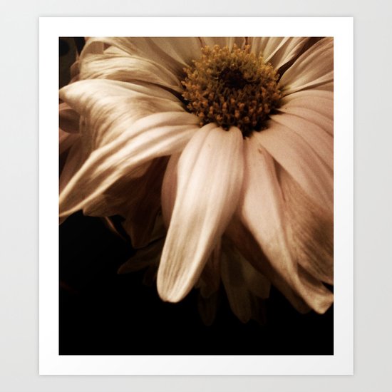 wilting flower Art Print