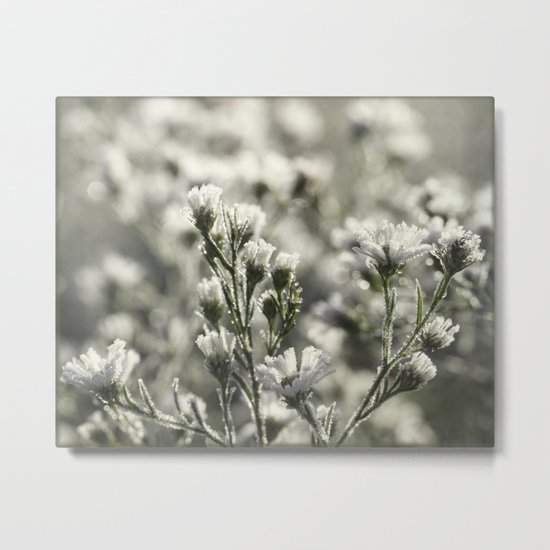 field of dreams Metal Print