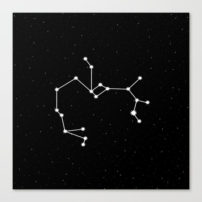 Sagittarius Star Sign Night Sky Canvas Print by astral spirits.