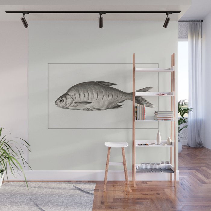 Fish (1833) drawing in high resolution by Jean Bernard Wall Mural