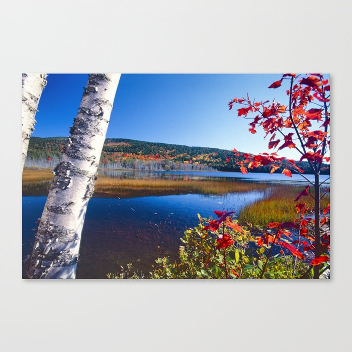 Autumn Colors at Upper Hadlock Pond in Mt. Desert Island, Maine (ME) Canvas Print