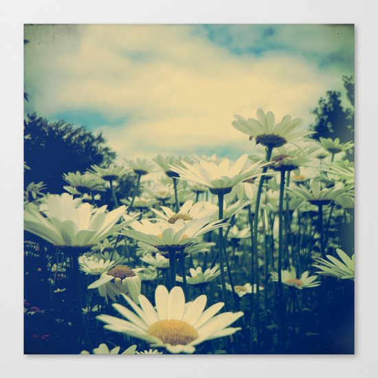 Daisy Love Canvas Print
