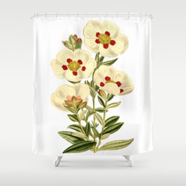 Flower S3 Shower Curtain