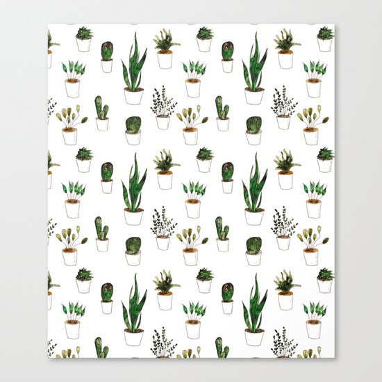 Green plants in white pots Canvas Print