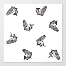 Patagonia Flyfishing Trout Canvas Print